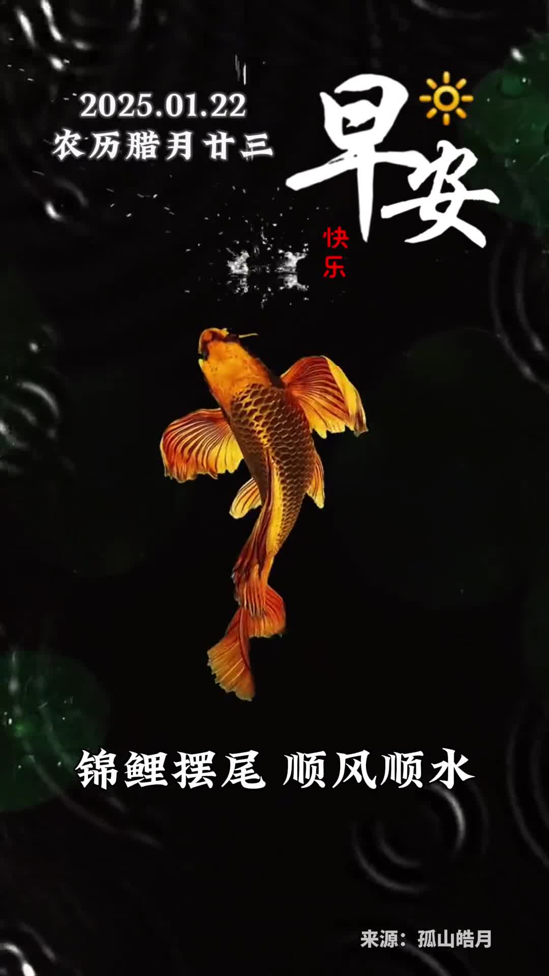 锦鲤摆尾顺风顺水新的一天愿您八方来财心想事成