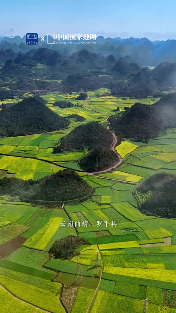 在云南曲靖罗平县的油菜花海里跟随明媚而热烈的金黄流转在喀斯特峰林之间感受春日为人间准备的治愈时刻春有约花不误与浪漫撞个满怀