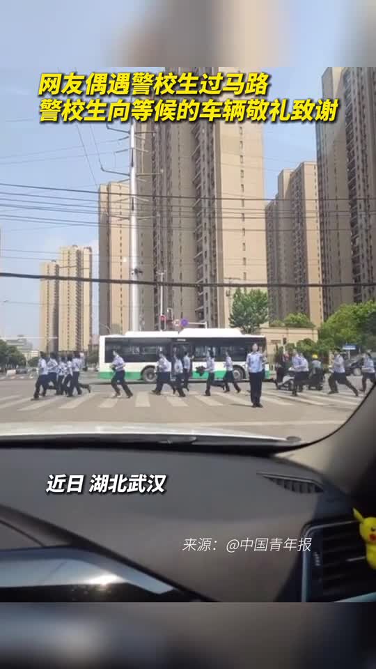 网友偶遇警校生过马路警校生向等候的车辆敬礼致谢