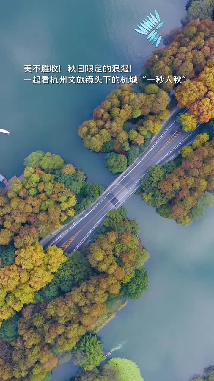 美不胜收秋日限定的浪漫一起看杭州文旅镜头下的杭城一秒入秋