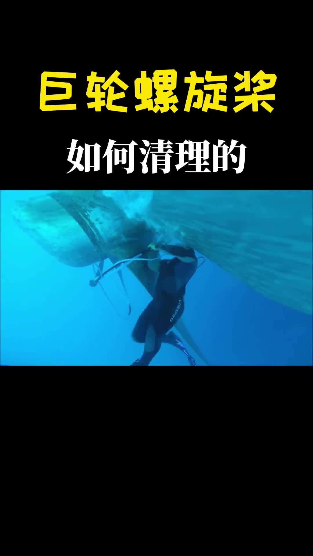 巨轮螺旋桨水下如何保养跟着摄像头潜入海底看看这是个技术活