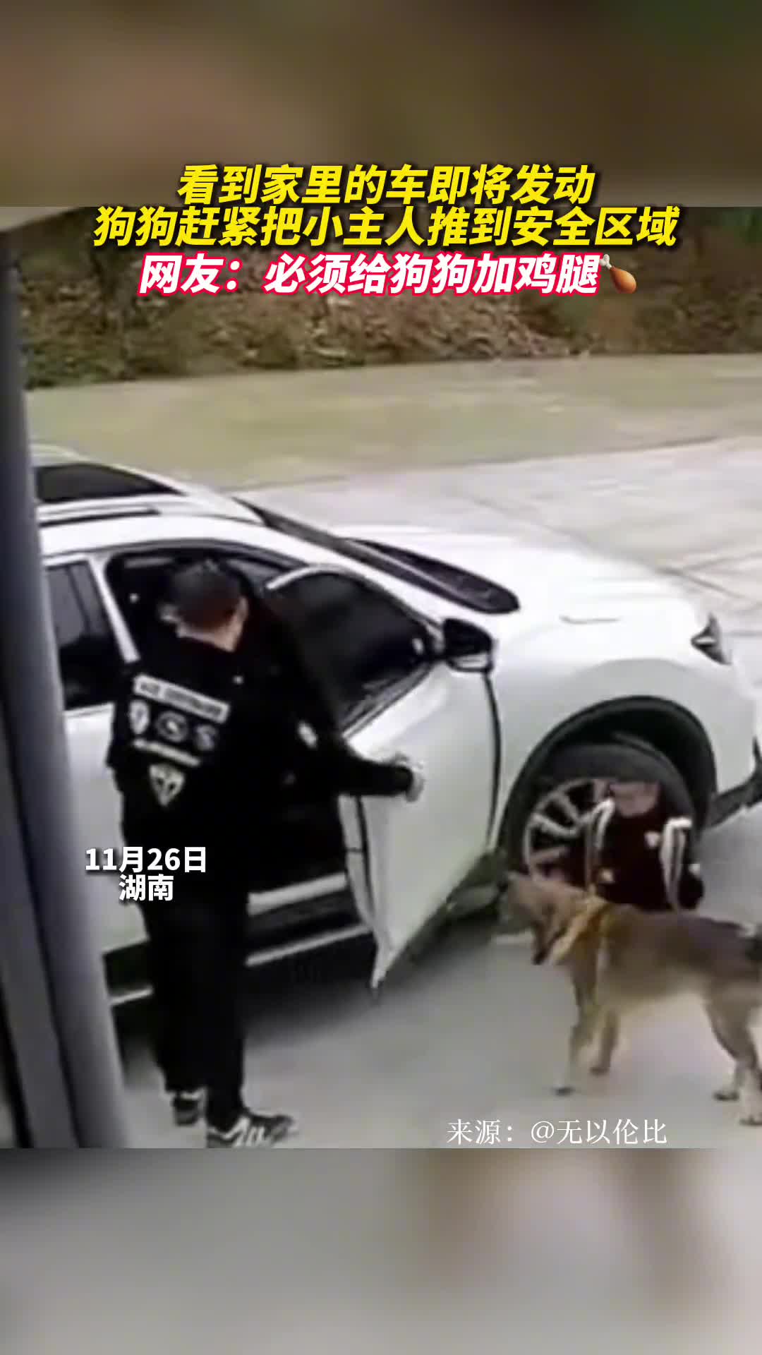 看到家里的车即将发动狗狗赶紧把小主人推到安全区域网友必须给狗狗加鸡腿