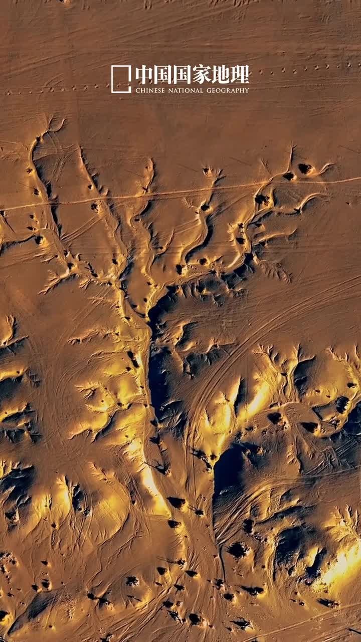 大自然的画作不会让人失望在日落时分的内蒙古阿拉善盟摄影师偶然间从空中拍到了大地上的神秘图案宛如一幅金色生命之树版画大自然不愧是一位无与伦比的艺术家它总能用多彩的画笔描绘出千变万化的景色让我们惊叹不已