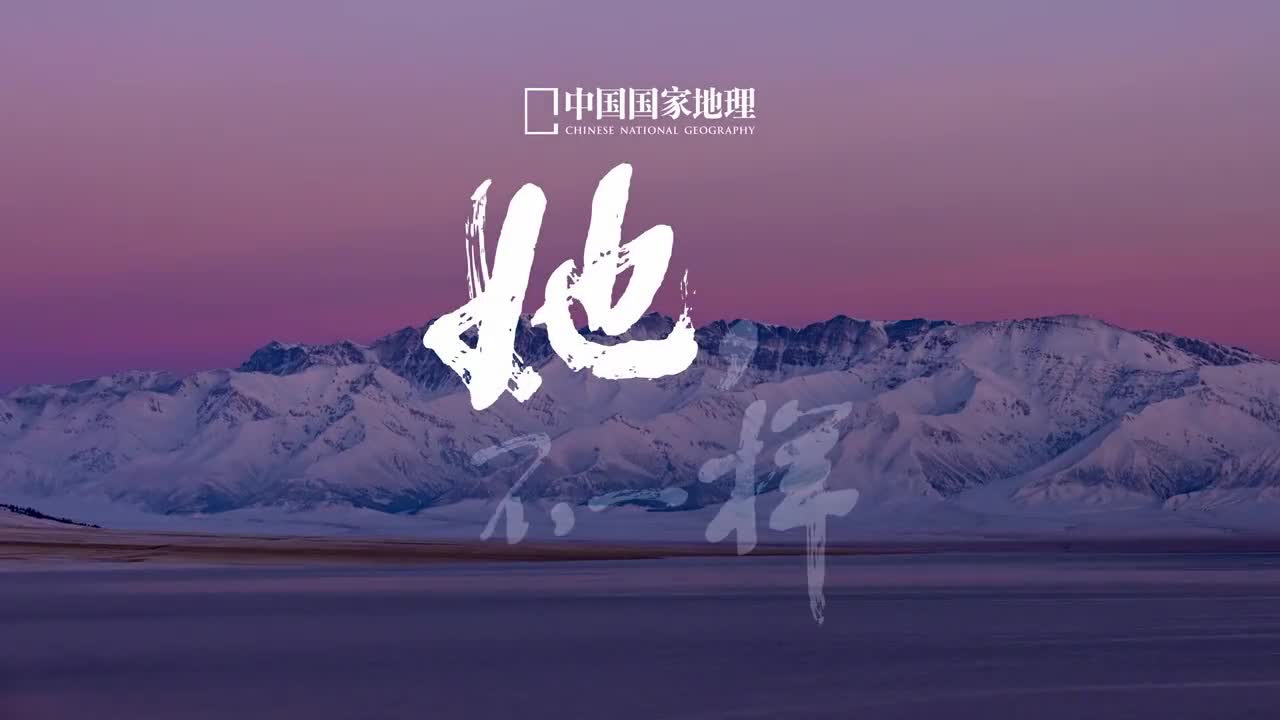 38秒致敬了不起的她每一个她都不一样女性可以温柔也可以果决可以优雅也可以潇洒她是绕指柔亦是百炼钢千般姿态万种风情她就是她的样子