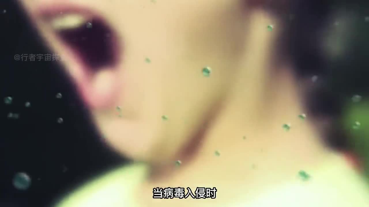 当病毒入侵时你的身体内经历了怎样的厮杀