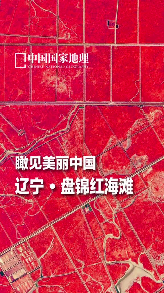 500000米高空俯瞰地球是什么感觉今天带大家看看从卫星上看辽宁红海滩有多美