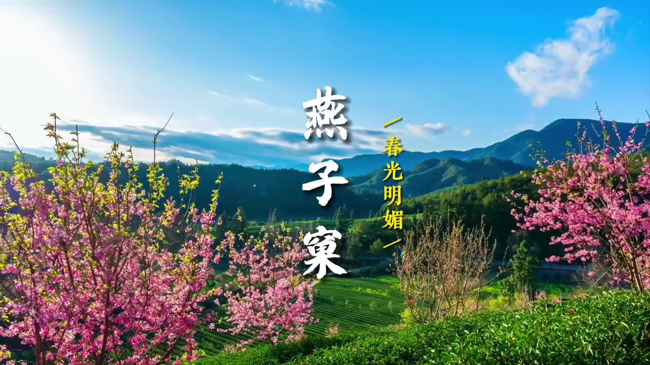 你们要的福建南平燕子窠来了还想看哪里评论区告诉我吧青山批翠繁花点缀山水与茶园相得益彰这里是燕子窠生态茶园位于福建省北部的南平市星村镇据悉燕子窠生态茶园带动了整个武夷山乃至全省推广绿色生态茶园种植模式形成星火燎原之势