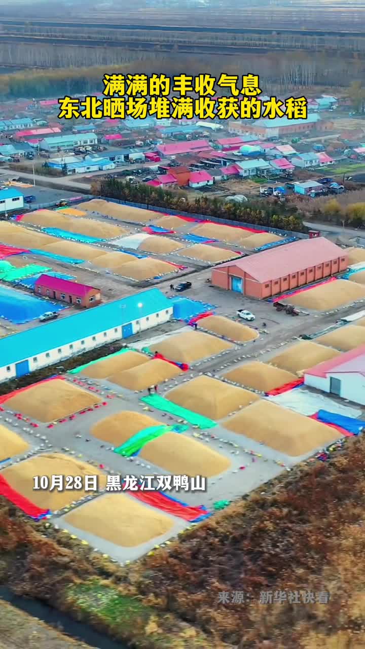 满满丰收的气息