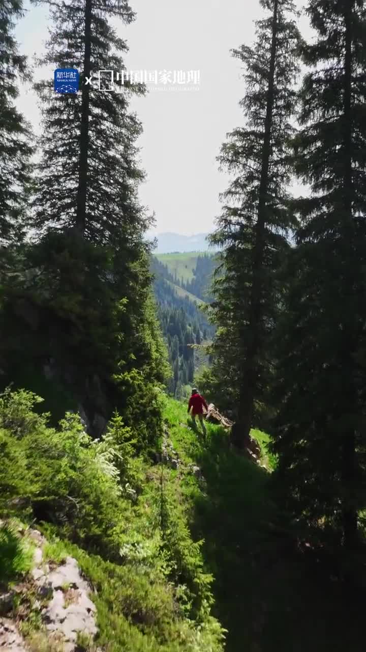 喀拉峻把草原美学演绎到了极致位于新疆伊犁的喀拉峻草原是一处颠覆人们认知的立体草原放眼远方高低起伏的地形容纳了包括雪山草原森林峡谷在内的多种自然景观呈现出层次丰富色彩斑斓的视觉图案