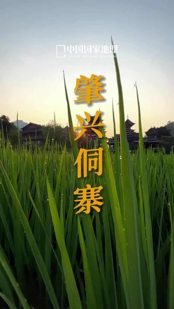 宁静祥和的早晨早安朋友们