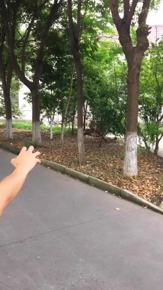 是时候告诉你我真正的身份了抖音小助手