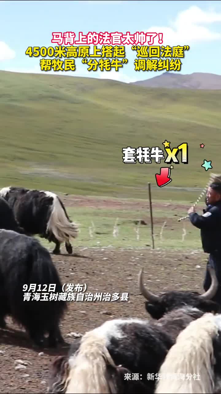 马背上的法官太帅了4500米高原上搭起巡回法庭帮牧民分牦牛调解纠纷