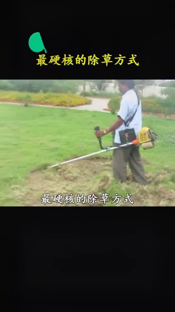 这种硬核除草方式还真是头一次见