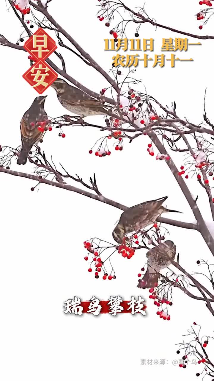 瑞鸟攀枝瑞气盈门新的一天开始祝您和家人和睦美满心想事成早安