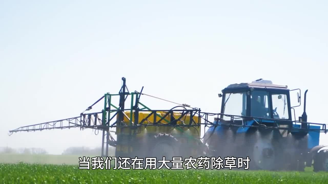 没想到ai机器人也可以清楚杂草