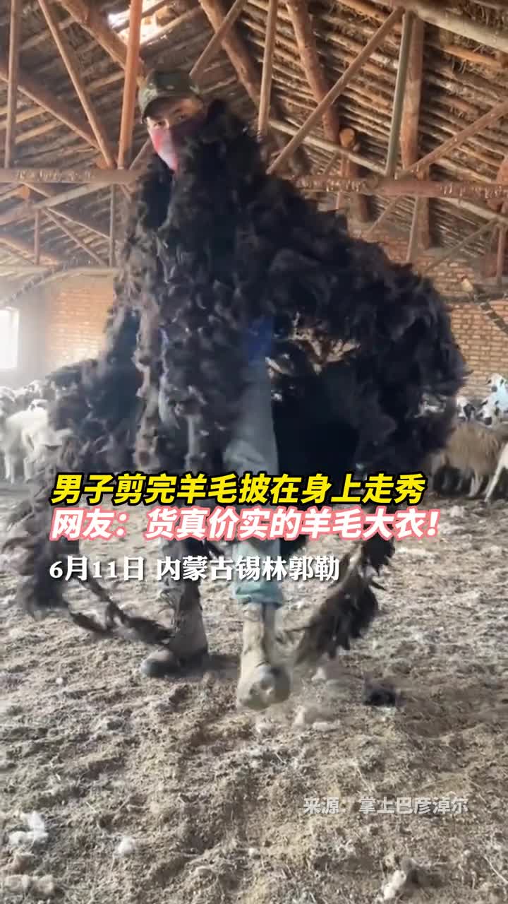 男子剪完羊毛披在身上走秀网友货真价实的羊毛大衣