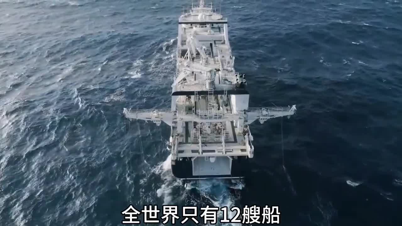 南极磷虾你吃过吗