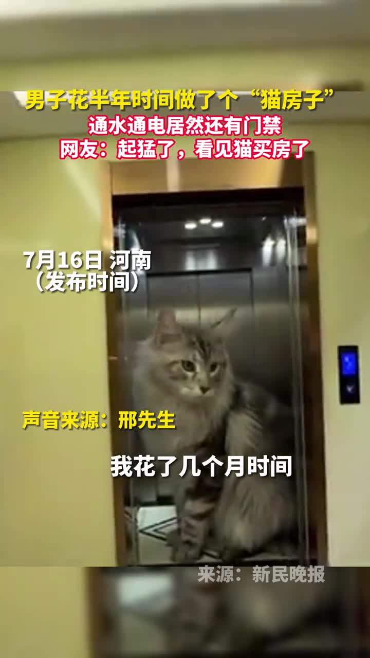 男子花半年时间做了个猫房子通水通电居然还有门禁