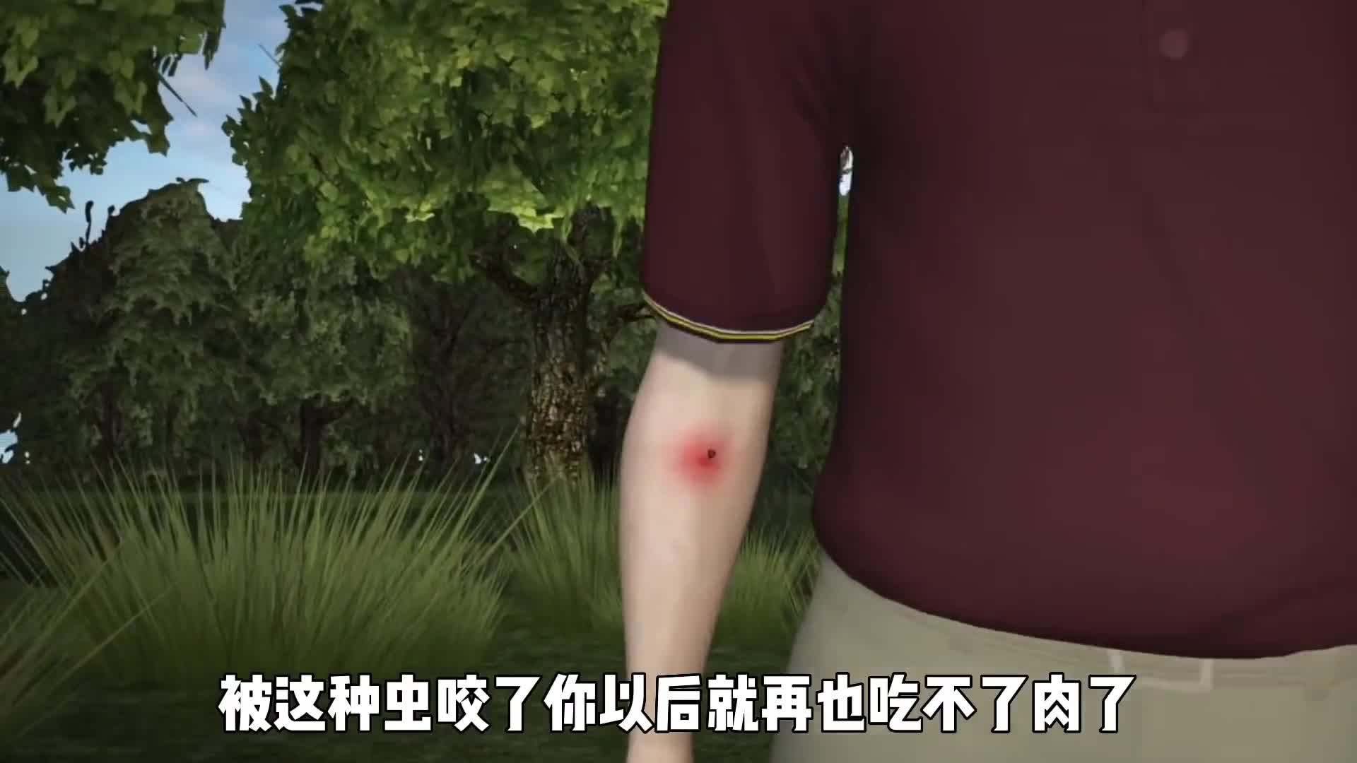 美国出现的新型蜱虫只要咬你一口就等于一辈子吃不了红肉了