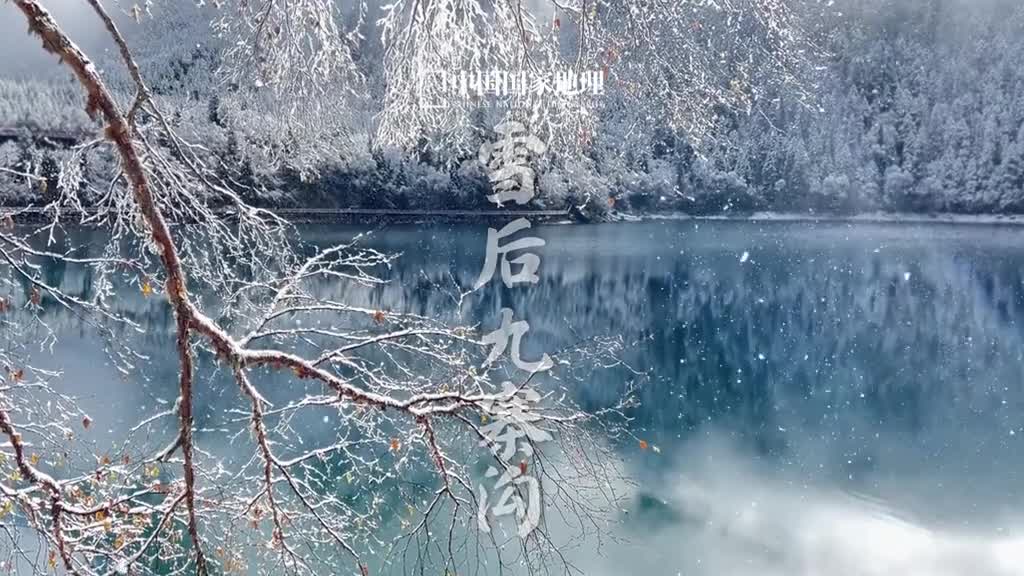 九寨沟下雪了这就是梦境中的童话世界吧九寨沟属岷山山脉的深切割高山峡谷区湖泊瀑布和滩流相连沿沟层叠分布形成一个完整的水系统像是一串璀璨的宝石故而有九寨归来不看水之说雪后的九寨沟如同身披一袭圣洁的白衣收起了秋日的绚烂呈现出纯洁静谧的美完美贴合了人们对于童话世界的美好想象