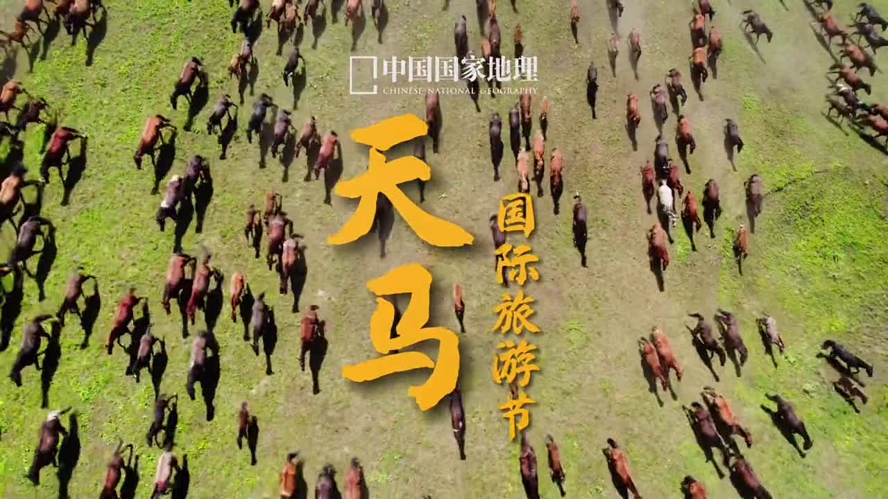 在新疆昭苏上演了一场万马奔腾摄影萌萌助理航拍V