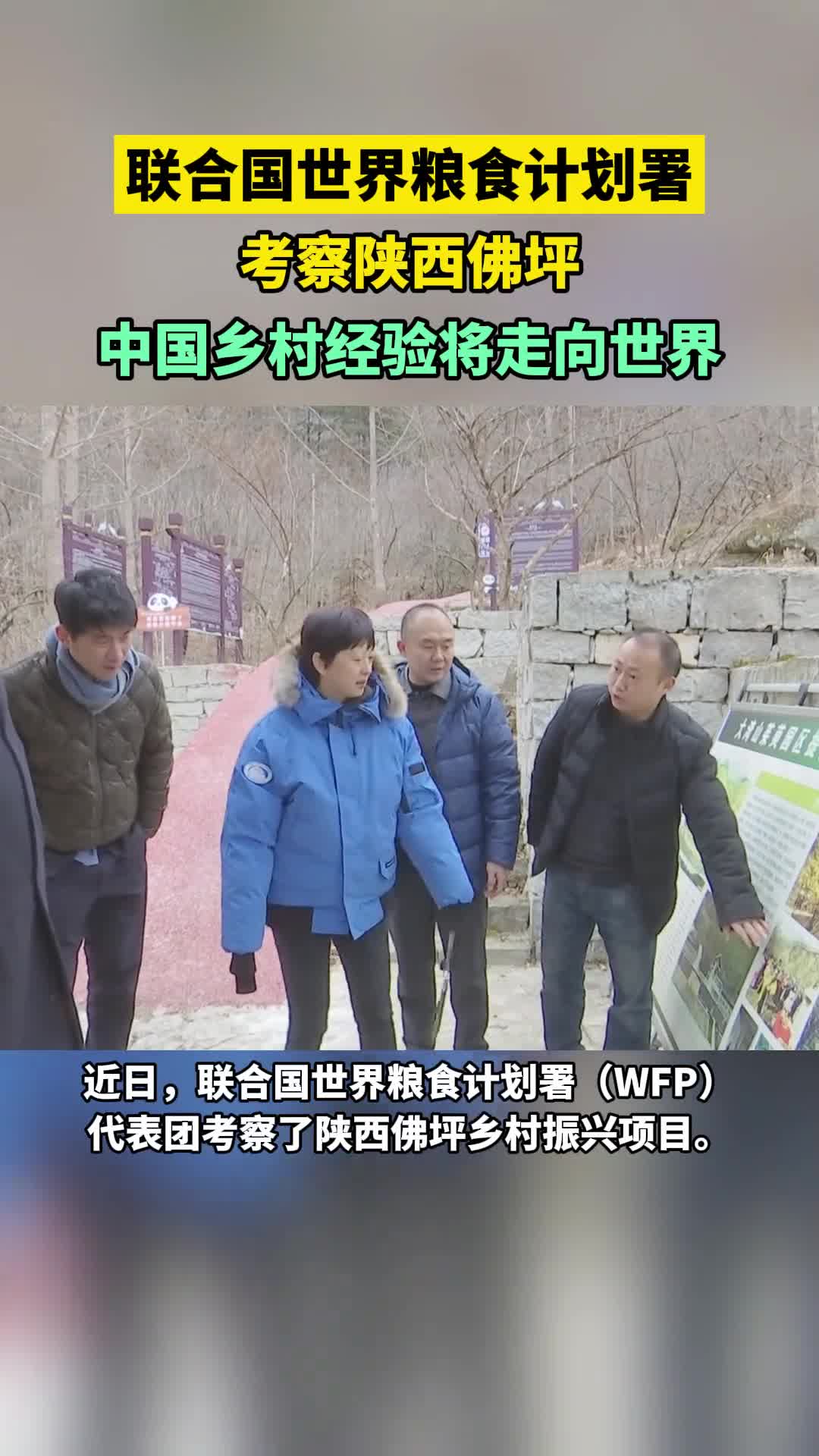 联合国世界粮食计划署考察陕西佛坪中国乡村经验将走向世界