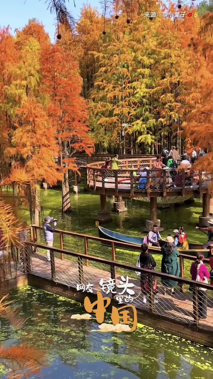 美如油画一起看网友镜头里的秋日杭州杭州文旅