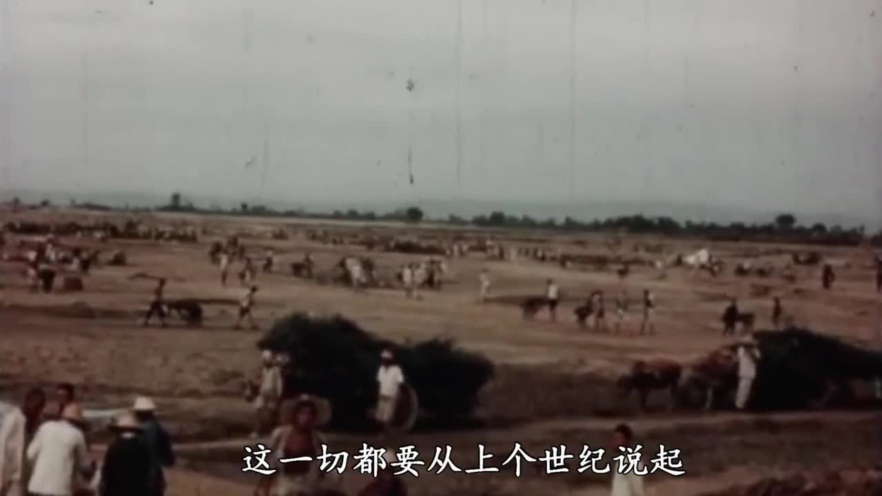 袁隆平的杂交水稻究竟有多牛迪拜酋长请他帮忙并将其定为国礼