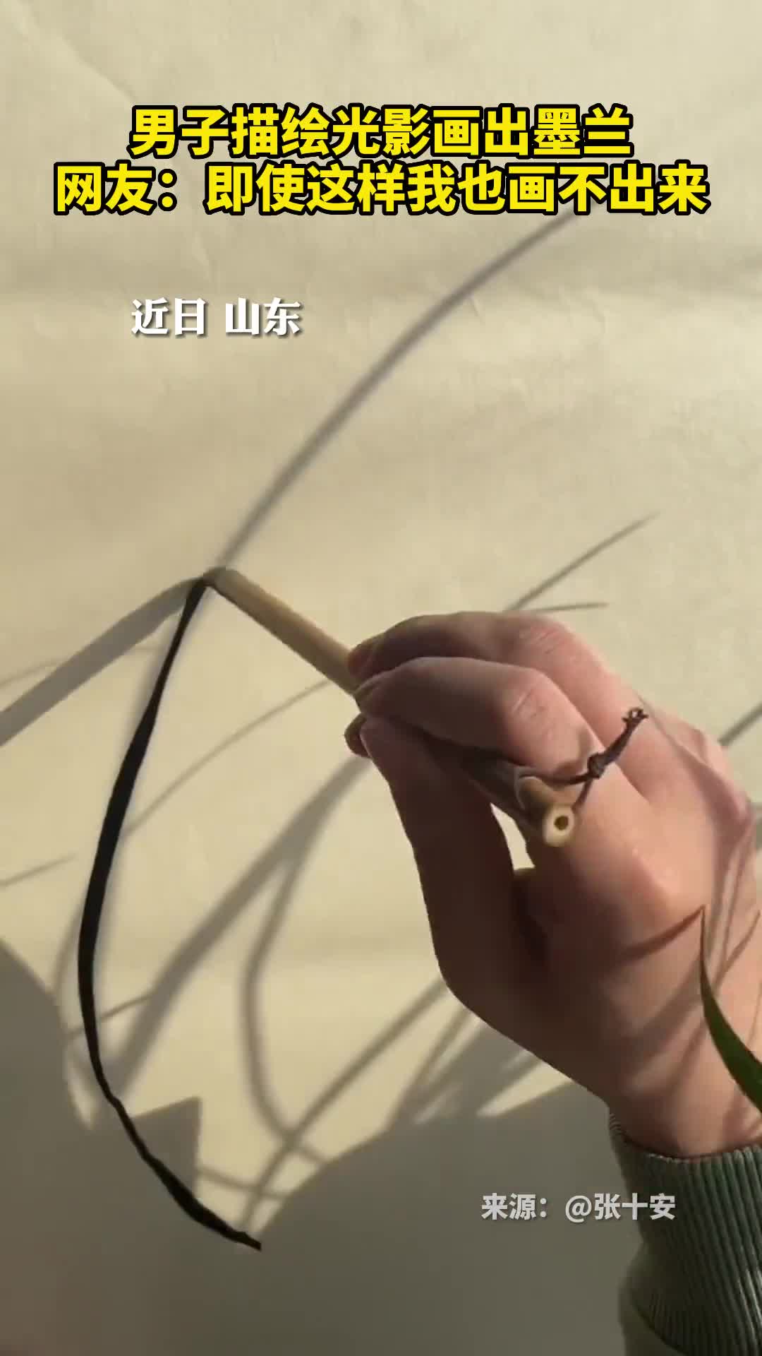 男子描绘光影画出墨兰网友即使这样我也画不出来