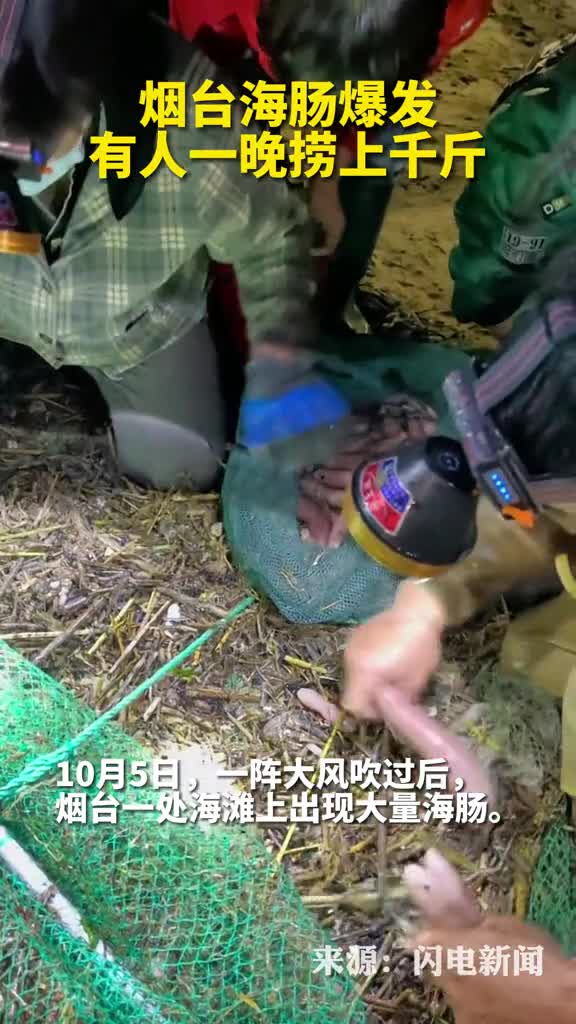 烟台海肠爆发有人一晚捞上千斤