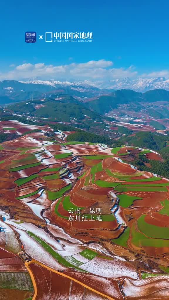 一场雪后云南昆明的东川红土地如梦如幻热烈红土与淡雅白雪相映生辉加之田间植被的点缀色彩斑斓如大地调色盘