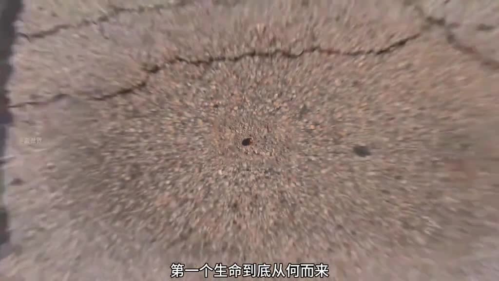 各种研究表明宇宙可能存在造物主