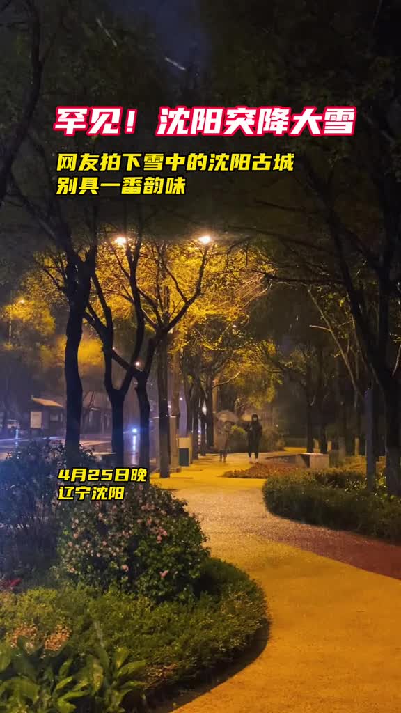 罕见沈阳突降大雪网友拍下雪中的沈阳古城别具一番韵味