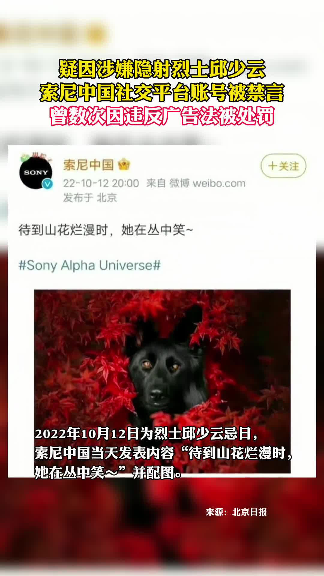 疑因涉嫌隐射烈士邱少云索尼中国社交平台账号被禁言曾数次因违反广告法被处罚