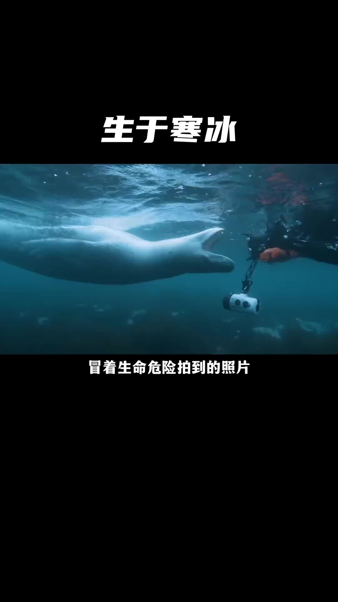 给大家推荐一本超级治愈的摄影书集