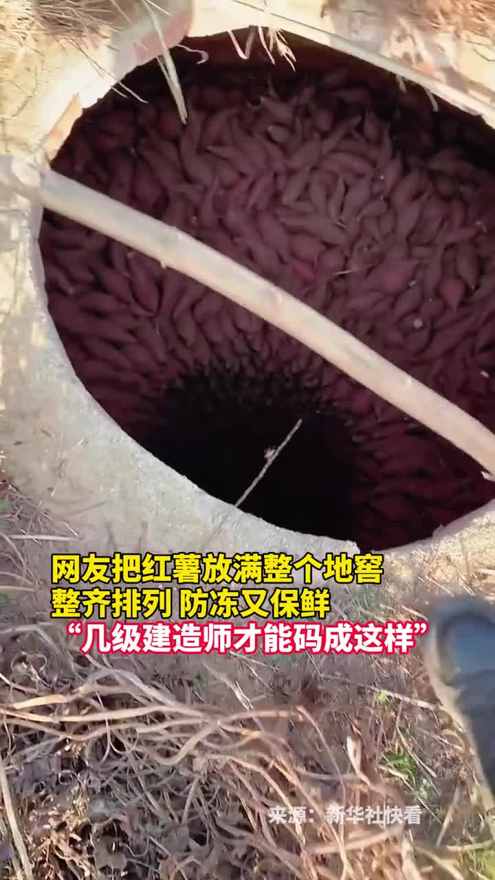 网友把红薯放满整个地窖整齐排列防冻又保鲜几级建造师才能码成这样