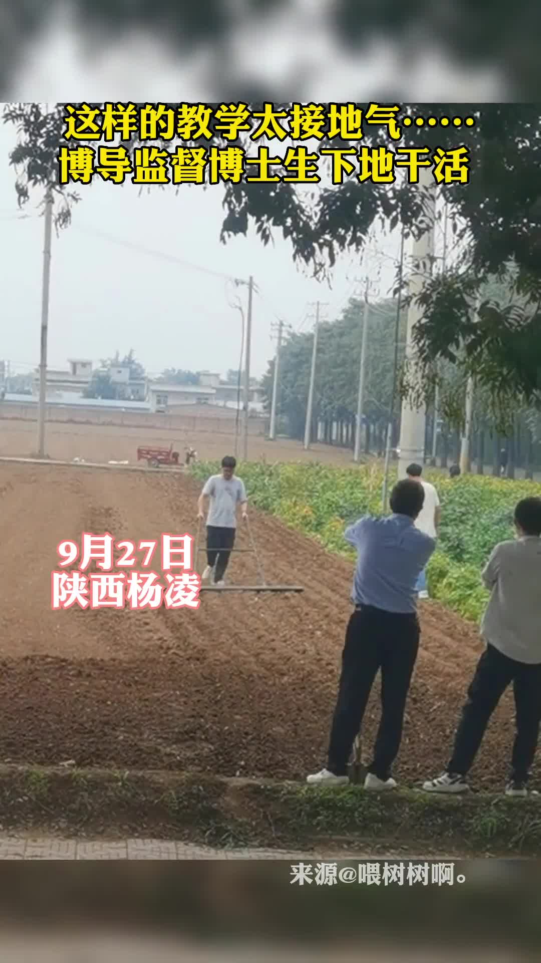 这样的教学太接地气博导监督博士生下地干活
