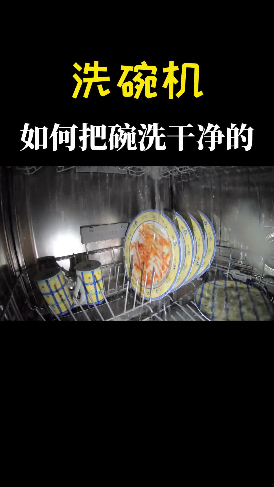 洗碗机里装上摄像头看它是如何把碗洗干净的解开我多年的疑惑