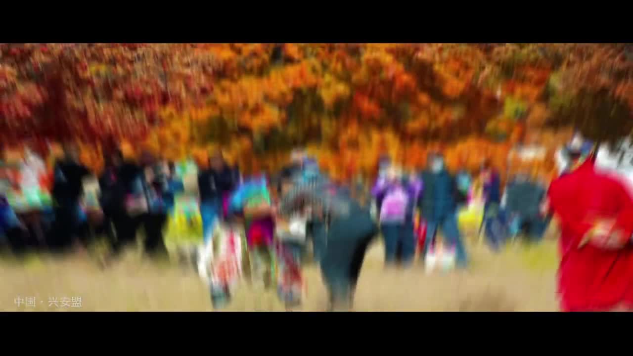 秋天来了内蒙古自治区兴安盟也迎来了华丽换装赤金色秋香色缃色琥珀色彤色兴安盟的秋是山川多彩层林尽染草原铺金一草一木皆可入画