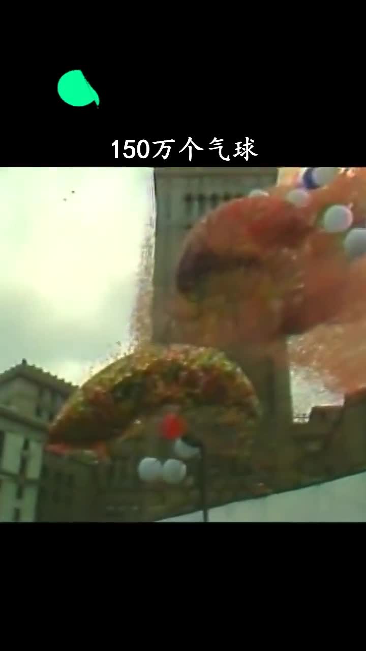 这下可好募捐来的钱全赔出去了