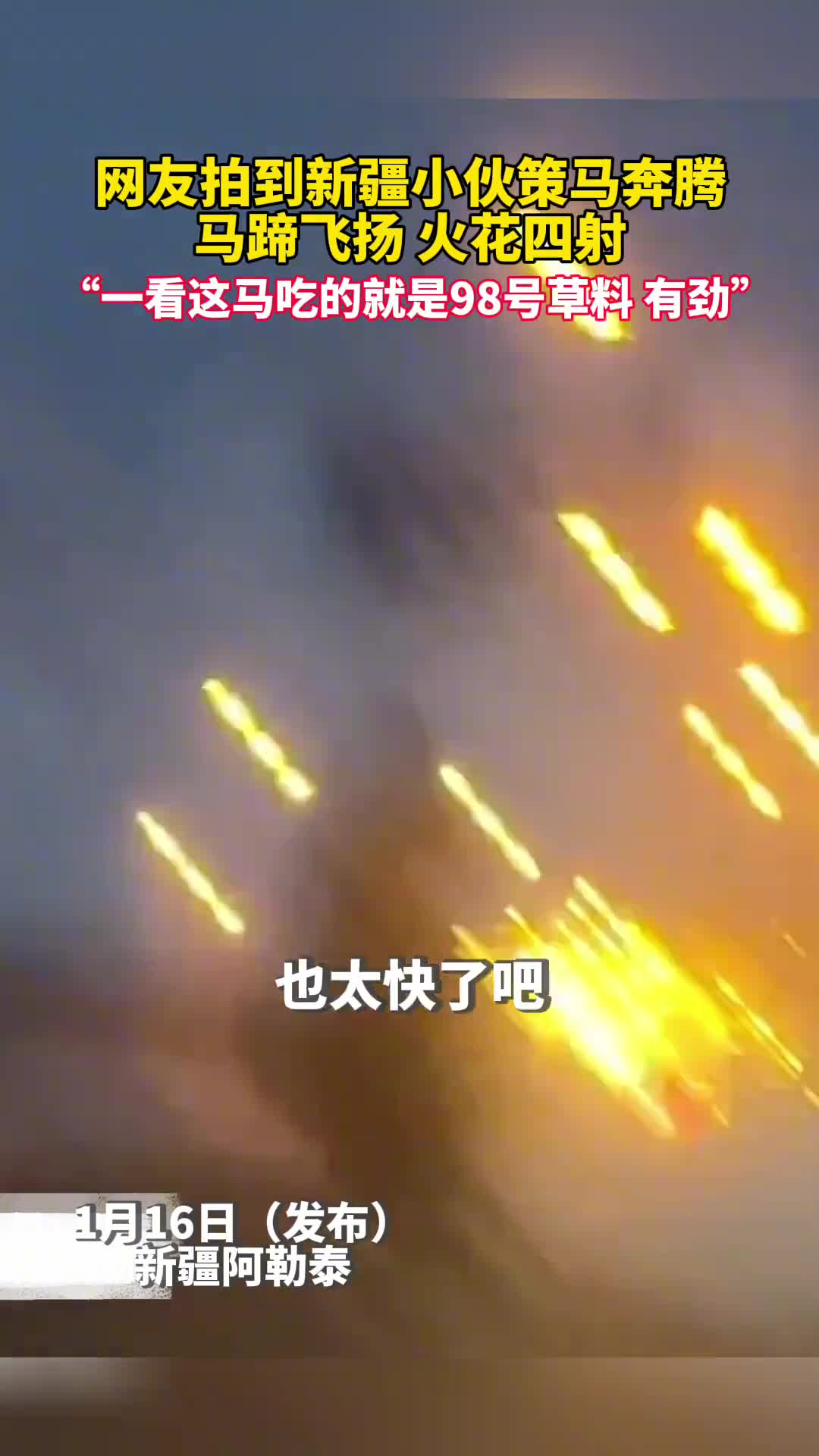 网友拍到新疆小伙策马奔腾一路火花带闪电一看这马吃的就是98号草料有劲