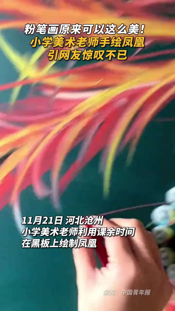 粉笔画原来可以这么美小学美术老师手绘凤凰引网友惊叹不已