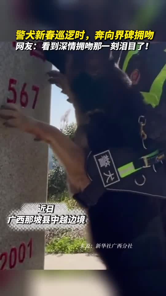 警犬新春巡逻时奔向界碑拥吻网友看到深情拥吻那一刻泪目了