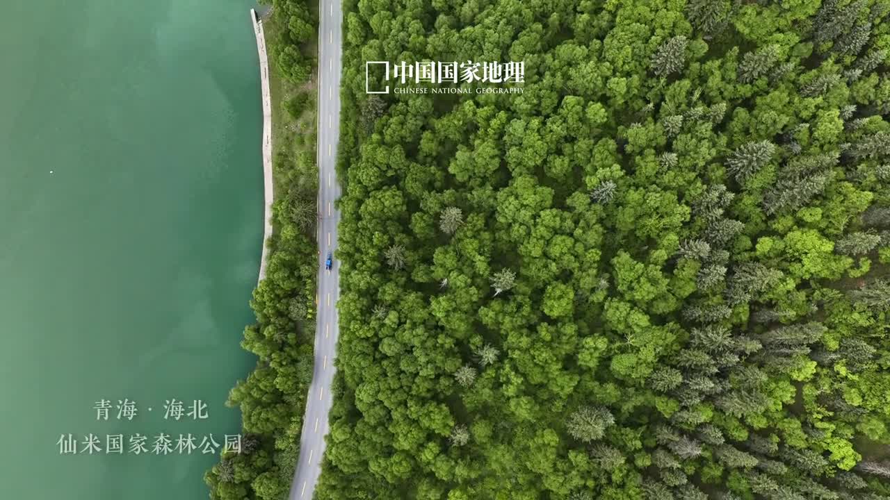 只缘身在仙境中踏上青海海北仙米国家森林公园的土地恍若步入了一幅极致纯净的生态画卷受祁连山脉影响这里地表水和地下水资源十分丰富静默不言润泽万物置身在这极为迷人的原始风貌中嗅古松苍柏木质芳香听清溪涧流潺潺作响跟随牛羊寻找鲜美的草芽世界都因此变得简单明亮