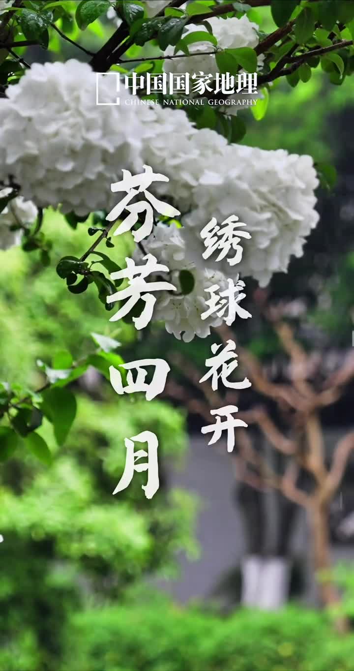 人间四月天江南的春进入尾声