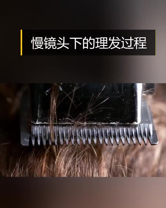 放慢100倍看看电动理发器是怎么把头发削断的