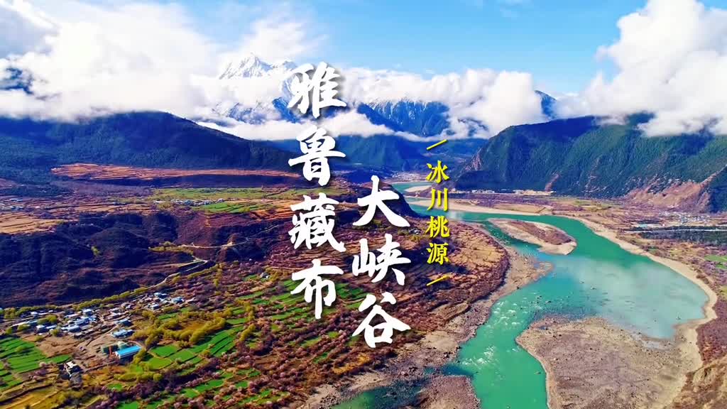 大家早上好最近拍的