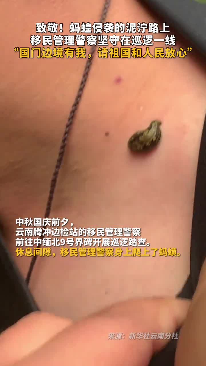 致敬蚂蝗侵袭的泥泞路上移民管理警察坚守在巡逻一线国门边境有我请祖国和人民放心