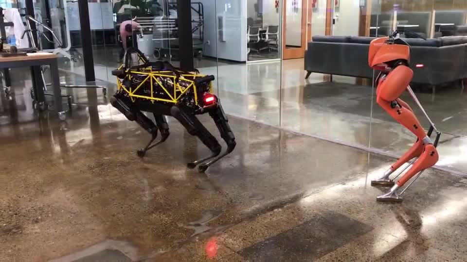 这两个小妖精也没谁了