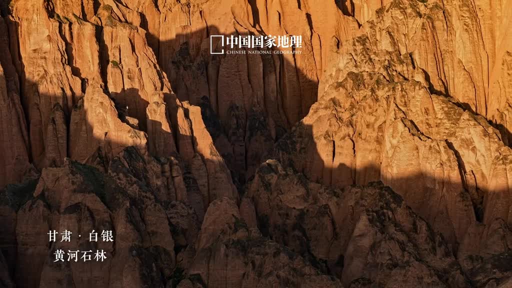 在黄河石林欣赏立体古画黄土高原之上黄河以其自然之力切割出气势雄浑的深峡经历多年的重力崩塌和风力侵蚀等作用最终于甘肃白银形成了体量庞大的黄色砂砾岩峰林景观零星绿植点缀于层层崖壁顶部寥寥几笔尽显神韵宛若现于自然的立体古画
